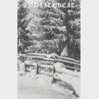 Endlichkeit - Endlichkeit VI-VIII